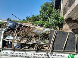 Best Demolition Debris Removal  in Nashville, IN